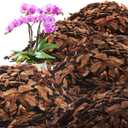 AVALUTION Orchid Potting Bark-29QT Organic Orchid Bark for Plants, All Natural Pine Bark Wood Chips for Houseplant Mulch, Orchid Plants Root Development, Mulch for Potted Plants (Large)