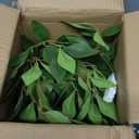 Artificial Potted Plants Indoor,27" Faux Plants Ficus Leaves Trees with Ceramic Pots,Realistic Fake Plant Indoor Potted for Living Room Office Farmhouse Room Bathroom Bedroom Kitchen Plant Decor