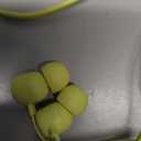 Beats Flex Wireless Earbuds - Apple W1 Headphone Chip, Magnetic Earphones, Class 1 Bluetooth, 12 Hours of Listening Time, Built-in Microphone - Yuzu Yellow