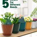 6 Inch Indoor Planter Pots with Drainage Hole and Tray Saucer,Flower Pots for Indoor Outdoor Garden Plants and Flowers, Multicolor, 5 Packs