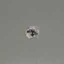 Ksquares Prank Fake Spiders, Mini Realistic Spiders for Halloween, Halloween Decorative Supplies Toys Black Spider Prank Scare Fun Joke Novelty Spiders for Party, Christmas