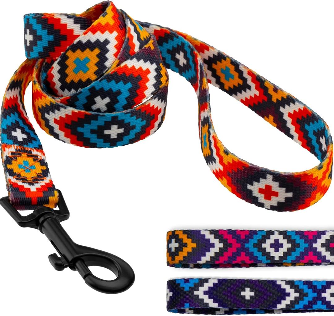 CollarDirect Aztec Dog Leash Nylon Tribal Pattern Cat Pet Leashes for Small Medium Large Dogs Puppy Lead 5 FT Long for Walking (Pattern 3, S, New)