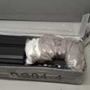 Low Profile Box Spring Queen Size 4 Inch, 3000lbs Heavy Duty Queen Box Spring Bed Base Metal Mattress Foundation, Easy Assembly, Noise Free