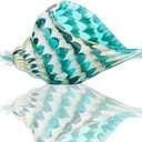 Qf Hand Blown Seashell, Beautiful Home Decor, Handmade Glass Art, Glass Conch