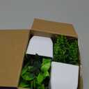 Der Rose 2 Pack Fake Plants Small Faux Artificial Small Potted Plants Indoor for Room Home Office Farmhouse Bathroom Decor (White)