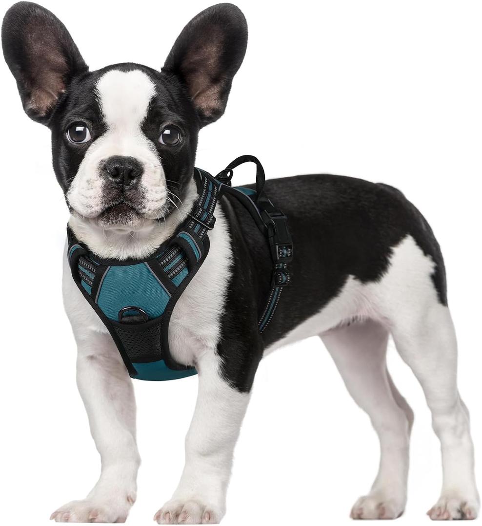 Rabbitgoo Dog Harness No Pull with 2 Leash Clips, Adjustable Soft Padded, Reflective Oxford No Choke Pet Vest with Easy Control Handle for Small Dogs, Blue Coral, S