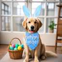 Dog Easter Bunny Costumes Easter Bunny Ears Headband Bandanas for Medium Large Dogs Pet Costume Accessories (Blue)