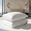 Beautyrest Goose Feather Down Fiber Gusseted Pillows, Firm Hotel Pillow Luxury Bed Pillows, 100% Cotton Cover, Queen/Jumbo Size Set of 2