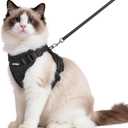 rabbitgoo Cat Harness and Leash for Walking, Escape Proof Soft Adjustable Vest Harnesses for Cats, Easy Control Breathable Reflective Strips Jacket, Black, M