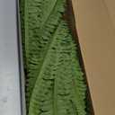 42" Artificial Boston Fern Large Bush Plants, 2 Bundles of Fake Ferns with 65 Fronds for Outdoors Home Decor