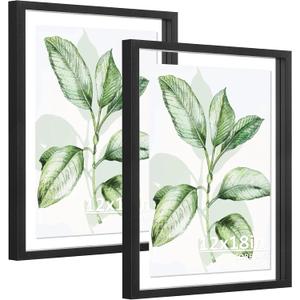 CORE ART 12x18 Floating Picture Frame 2 Pack, Black