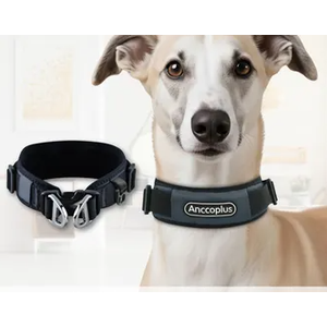 AnccoPlus Comfort Walking Dog Collar (Size S, Color Grey)