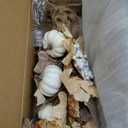 Thanksgiving Maple Leaf Table Tree Decorations Indoor, 20 inch Fall Artificial Pumpkin Centerpieces Decor, Pumpkin Table Tree Decorations for Autumn Party Holiday Home, Neutral