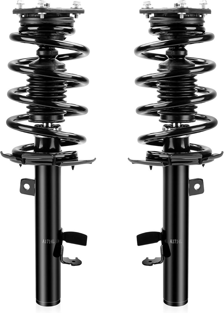 Richeer Front 2 PCS Strut Assembly Compatible with 2014-2019 Escape, Shock Absorber Front with Coil Spring Steel Replacement 172750 172751