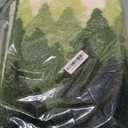 DEXI Bathroom Rugs Non Slip, 16x24 Washable Microfiber Bath Mat Quick Dry, Absorbent Ultra Soft Forest Trees Bathmat for Shower Floor Tub Sink, Green