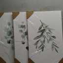 Green Botanical Wall Art Sage Plant Canvas Pictures Eucalyptus Wall Decor Watercolor Leaves Prints Minimalist Leaf Poster Natural Artwork Flower Painting for Living Room Bedroom 16x24x3 Inch Unframed