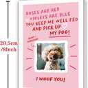 2 x Funny Dog Valentines Day Card - Roses Are Red Dog Card for Pet Owners (BT-157)