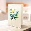 10 x Paper Pop-Up Flower Card, Tropical, Forever Flowers Bouquet 3D Popup Greeting Cards, Blank Note Envelope, Birthday Gift Cards, Mother's Day, Holiday Decorations