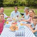 Blue Gingham Napkins Disposable Rectangle: 100PCS Checkered Paper 15.7x11.8 Inch for Dinner Party