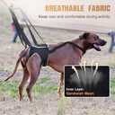 Dog Sling for Medium Dogs, Back Leg Support Harness for Mobility Assistance, Helps Support Dogs with Joint Issues, Walking Aid with Reflective Material, Size M