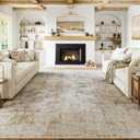 8x10 Washable Area Rug Gold Grey Neutral Abstract Living Room Bedroom Large Throw Rug Non Slip Soft Low Pile Indoor Floor Carpet for Dining Room Kitchen Office Entryway