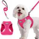 rabbitgoo Dog Harness Small Sized and Leash Set, Step in Soft Light Puppy Vest, Breathable Mesh Pet Harness, Reflective for Safe Easy Walking, Rose Red M (M (Chest: 16 - 18.5"))