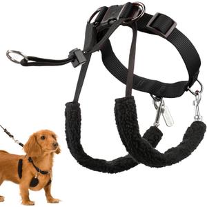 SPORN Dog Training Halter, Black, Small