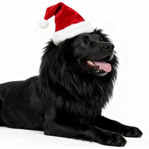 Dog Christmas Costume Funny Adjustable Wig Pet Costumes with Santa Hat for Medium Large Dogs Halloween Christmas Outfit, Black