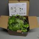 ROVALA Silk Plants for Home Decor Indoor in Pot Realistic Artificial Plants Fake Hanging Plants Faux Plants Indoor Fake Potted Plants Fake Plants for Shelves Bathroom Plants, Fake Pothos (Light Green)