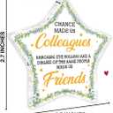 2 x Funny Colleagues Gifts Christmas Ornament, Coworker Christmas Birthday Gifts, Farewell Going Away Goodbye Gifts for Coworker Friend Star Shaped Acrylic Hanging Ornament (B12)