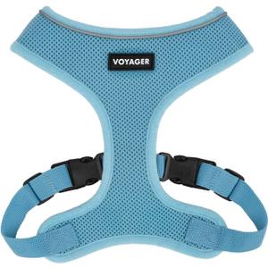 Best Pet Supplies Voyager Aerolite No Pull Mesh Dog Harness, Reflective Stitching, Breathable Harness, Adjustable for Walking, Training, Running, Heavy Duty and Durable, Baby Blue, M (M (Chest: 17 - 21"), 220 Style (Blue))
