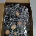 Waipfaru Bottle Brush Trees Christmas, 30 Pcs Mini Christmas Trees Table Decor, Miniature Pine Trees for Xmas Tabletop Crafts Christmas Indoor Decorations (Green & Sliver)