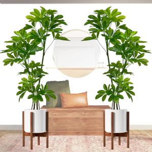 Artificial Umbrella Tree 6FT, Realistic Money Tree with Silk Leaves, Tall Fake Plants for Indoor, Home, Office, Living Room, Patio, and Porch Decor (2Pack) (2 Pack 6.3ft - Dayesan Tree)