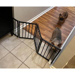 Free Standing Foldable Dog Gate, 16.5" High Step-Over Metal Short Pet Gate, Up to 48" Wide Puppy Fence for Stairs and Doorways, Indoor & Outdoor Use, No Drilling and No Assembly, Black