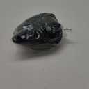 Daci Women 2 Piece Rash Guard Long Sleeve Zipper Bathing Suit with Bottom Built in Bra Swimsuit UPF 50 XXS