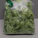 Green Sheer Curtains 108 Inches Long for Living Room, Vine Leaf Patterned Curtains 2 Panels Green Bedroom Curtain Sheers Voile Transparent Window Treatment Drapes for Closet Doorway Nursery Kids