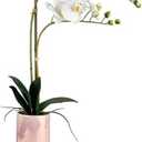 Dolly Parton White Artificial Orchid in Pink Ceramic Pot, 9.8x5.5x24 Inch