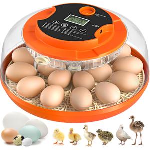 18 Egg Incubator with Automatic Egg Turning and Humidity Control, Incubators for Hatching Eggs, Chicken, Ducks, Goose, Pigeon, Quail, Parrot Incubator for Farm, Lab, Science Classroom, Home (Orange)