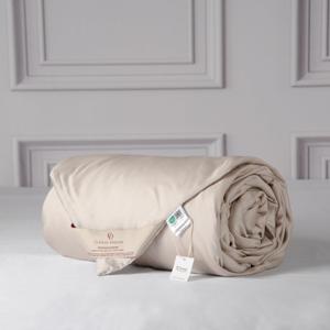 CUDDLE DREAMS Lightweight Silk Filled Comforter for Summer, Detachable Tencel Duvet Cover for Easy Care, Naturally Breathable (Light Pewter, King) (KING, 102 IN x 88 IN)