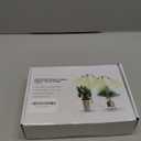 Full Spectrum Grow Lights for Indoor Plants 15-62 Inches Height Adjustable Aluminum Alloy Plant Growing Lamps with Detachable Tripod Stand, Auto On/Off Timer (Full Spectrum, Three Heads)