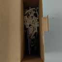 6 in 1 Fossil Building Kit, Compatible with Lego Dinosaur Natural History Museum, 6 Prehistoric Beasts in 1 Mammoth Building Set, Educational STEM Toys Discovery Gifts for Kids Ages 8+, 928 PCS