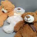 Skylety 10 Pcs Bears Bulk Stuffed Animal Plush Toys 10-14 Inches Birthday Party Favors(Elegant Color)