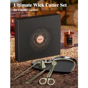 RONXS 4 in 1 Candle Accessory Set, Candle Wick Trimmer Cutter, Candle Electric Lighter, Candle Snuffer Extinguisher, Wick Dipper with Gift Package for Candle Lovers, Gift for Her (Silver)