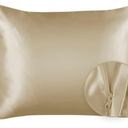 Blissford Luxury Champagne Satin Pillowcase with Zipper Closure, Queen 2-Pack