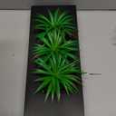 Hotop 2 Pcs Artificial Green Grass Plants in Wood Decorative Planter Pot Wooden Faux Greenery Rectangle Box Table Plant for Tabletop Centerpiece Indoor Decor(13.8 Inch,Black)