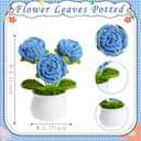 LAIDANLA Crochet Flowers Blue Roses Mini Potted, Handmade Blue Rose Anniversary Appreciation Birthday Gifts for Women Friend Teacher Coworker Mom Sister Knitted Flower for Desk Car