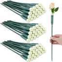 Tessco 90 Pcs 12 Inch Green Floral Water Tubes Plastic Flower Water Tubes Picks Supplies for Fresh Flowers with Rubber Caps for Flower Stem Arrangements Florist Supplies