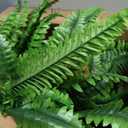 2PCS 45in Fake Ferns- Large Artificial Plants Outdoor, UV Resistant Artificial Ferns for Outdoors, 60 Branches Faux Boston Fern Realistic Weatherproof Fake Plants for Porch Home Patio Hanging Decor