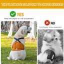 3 Pack Avont Male Dog Belly Band with Suspenders, Reusable Boy Doggie Diaper with Harness, Escape Proof, Non-Slip, Washable Doggy Pee Wraps for Small Medium Large Dogs, Small