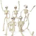 HADWYN 5 Packs Halloween Skeleton Decorations,16" Full Body Posable Joints Skeletons for Halloween Decorations, Indoor and Outdoor Horror Atmosphere Decorations